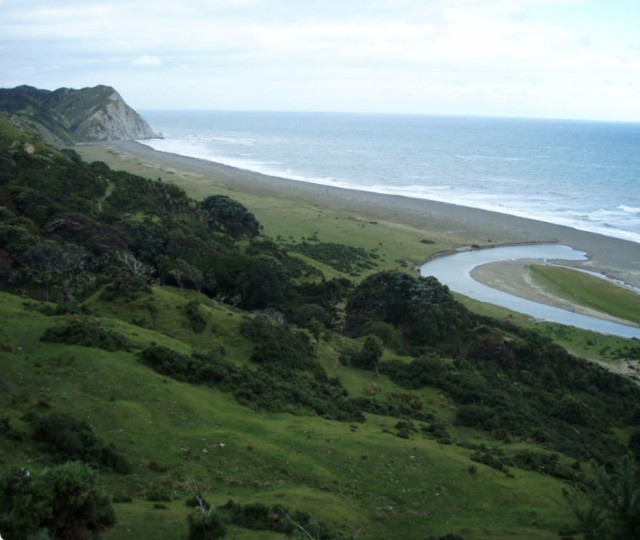 Te Kautuku Projects
