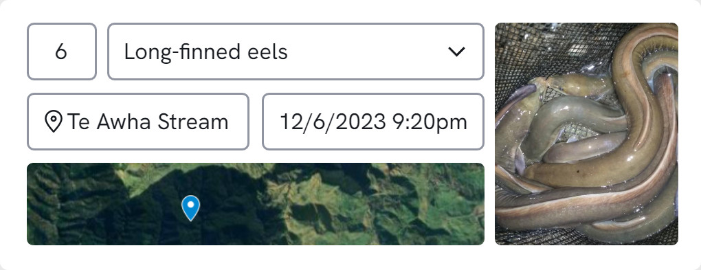Report data image